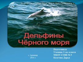 Обложка для материала Презентации школьников