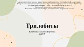 Презентация по теме "Трилобиты"