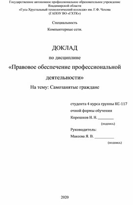 Доклад "Самозанятые граждане"