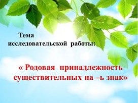 Презентация исследовательской работы ученика  на тему "Родовая принадлежность существительных на ь знак.