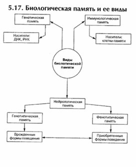 Обложка для материала материал по психофизиологии