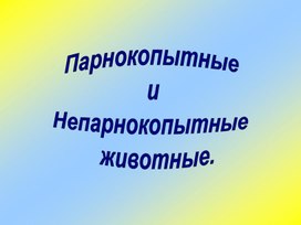 Отряды Млекопитающих Парнокопытные и Непарнокопытные