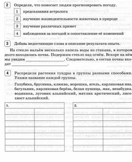 Обложка для материала окружающий мир 4 класс итоговая работа_7