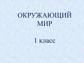 Презентация к уроку "Где живут белые медведи"