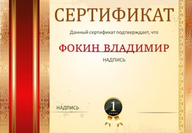 Сертификат № 16