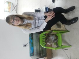Обложка для материала Экскурсия в террариум «Эти забавные животные».
