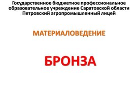 Обложка для материала БРОНЗА