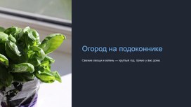 Обложка для материала Презентация к исследовательской работе "Огород на подоконнике"