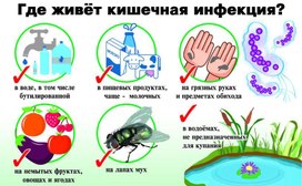 Обложка для материала где живет кишечная инфекция