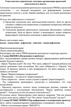 Обложка для материала Учим мыслить критически: методика организации проектной деятельности в школе.