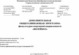 ДОПОЛНИТЕЛЬНАЯ ОБЩЕРАЗВИВАЮЩАЯ  ПРОГРАММА физкультурно-спортивной направленности «ВОЛЕЙБОЛ»