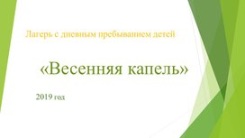 Обложка для материала детский лагерь программа
