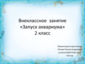 Презентация "Запуск аквариума" для  внеклассного занятия 2 класс