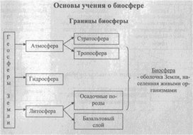 Материал по биологии