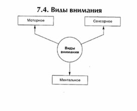 Обложка для материала материал по психофизиологии