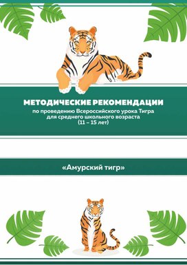 Методическая разработка урока