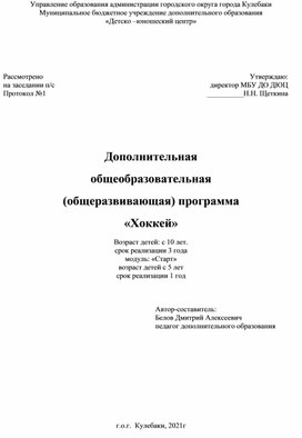 Дополнительная  общеобразовательная  (общеразвивающая) программа «Хоккей»