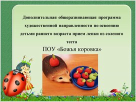 Обложка для материала Организация дополнительной общеразвивающей программы художественной направленности по освоению детьми раннего возраста приемов лепки из соленого теста в ДОУ