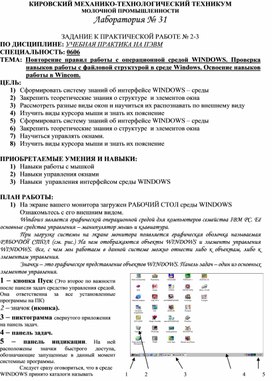 Навыков работы с файловой структурой в среде Windows.