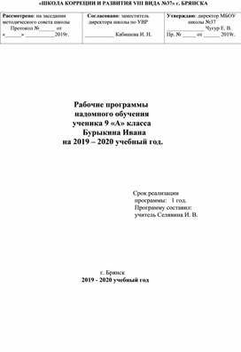 Надомное обучение. Школа  VIII вида. Адаптированная программа обучения  обучающегося 9 класса с тотальным недоразвитие интеллекта