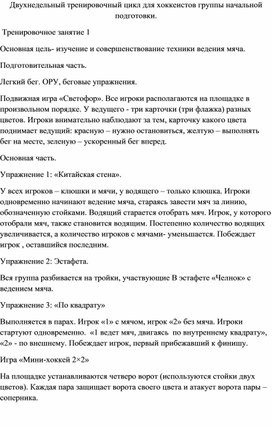 Методическая разработка: "Хоккей на траве"