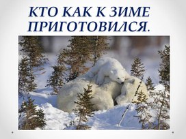 Обучающая презентация "Кто как к зиме приготовился"