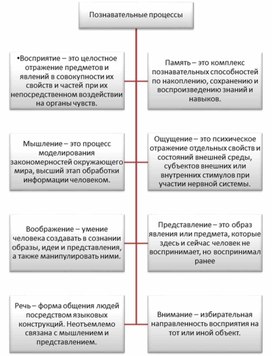 Познавательные процессы в схемах