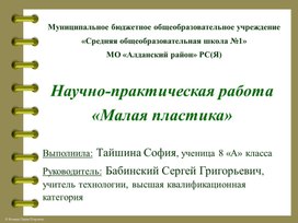 Обложка для материала Научно-практическая работа "Малая пластика"(видеопрезентация). Автор С.Тайшина.
