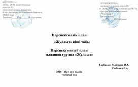 Перспективный план на 2020-2021 год"