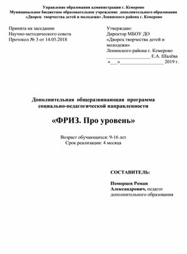 Дополнительная  общеразвивающая  программа  социально-педагогической направленности  «ФРИЗ. Про уровень»