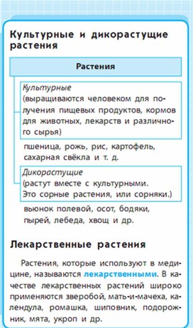 Обложка для материала Окружающий мир для 1-4 классов_схема_12