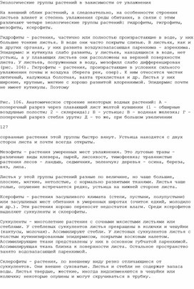 Обложка для материала Мезофиты