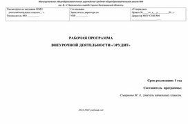 Обложка для материала РАБОЧАЯ ПРОГРАММА ВНЕУРОЧНОЙ ДЕЯТЕЛЬНОСТИ «ЭРУДИТ»