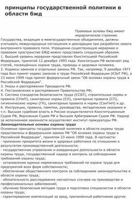 Принципы государственной политики в области безопасности жизнедеятельности