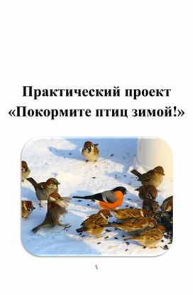 Практический проект «Покормите птиц зимой!»