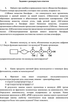 Биосинтез белка