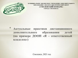 Актуальные практики дистанционного дополнительного образования детей