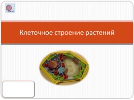 Обложка для материала Методическое  разработка по биологии 5 класс