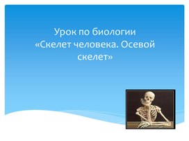 Презентация по биологии 8 класс "Скелет человека"