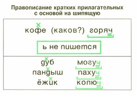Обложка для материала грамматика_руссого _языка_в_таблицах_5-9 кл