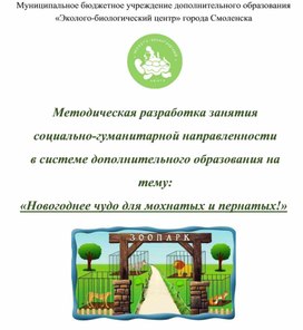 Обложка для материала Методическая разработка занятия "Новогоднее чудо для мохнатых и пернатых"