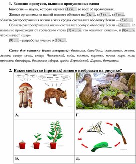 Проверочная работа "Свойства (признаки) живого"