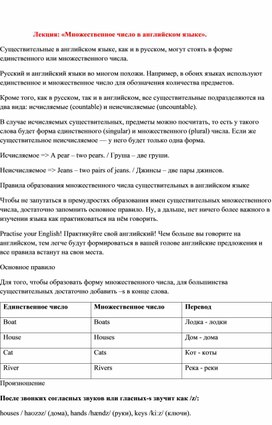 Обложка для материала Лекция: «Множественное число в английском языке».
