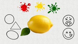 Обложка для материала Интерактивная игра: «Скажи какой»