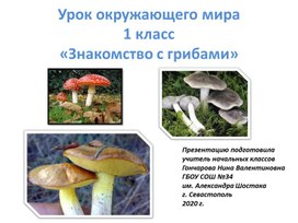 Презентация по окружающему миру на тему: "Знакомство с грибами" (1 класс)