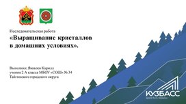 Обложка для материала Исследовательская работа" Выращивание кристаллов в домашних условиях"
