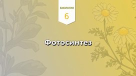 Обложка для материала Фотосинтез