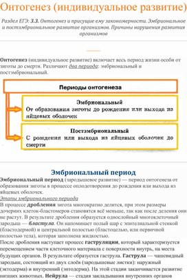 Онтогенез (индивидуальное развитие организма)