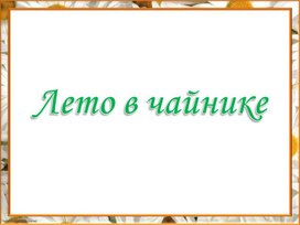 Урок и презентация по литературному чтению Т.Пономарева "Лето в чайнике" 3 класс УМК ПНШ