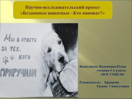 Обложка для материала Научно-исследовательский проект"Бездомные животные -кто виноват?